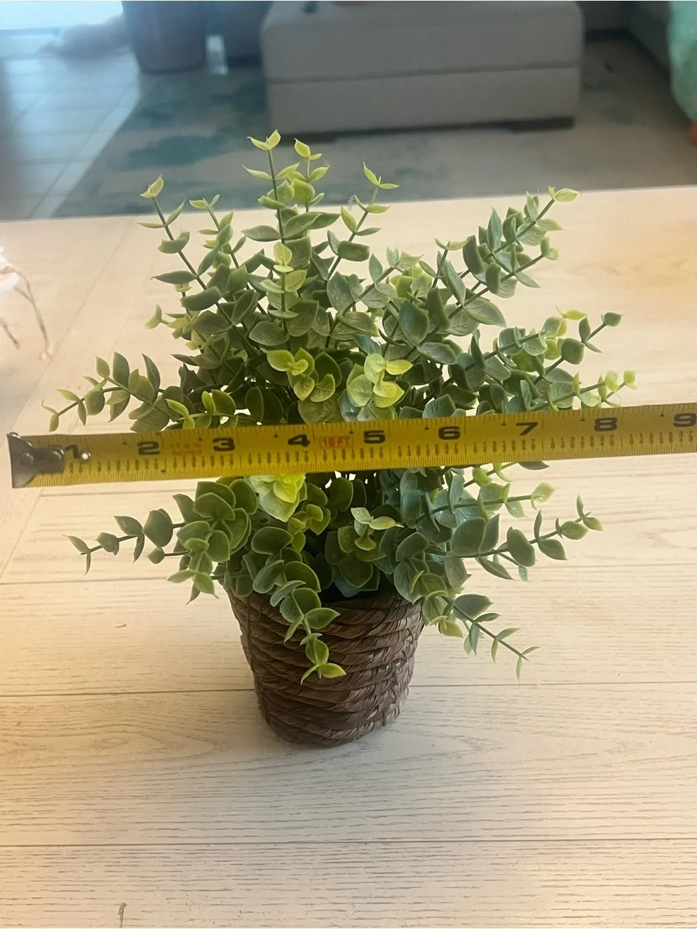 Artificial Green Eucalyptus Plant in Brown Handwoven Coiled Pot